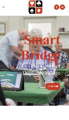 Smart Bridge mobile image